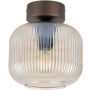Stropní lampa SALVIA 11358 od TK Lighting