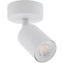 Bodové světlo NEX 11368 1x10W/GU10 IP20 od TK Lighting