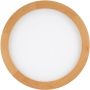 Stropní lampa AQUA WOOD 18004 3000K, 4000K, 6500K 1x4W/LED 2565lm IP54 od TK Lighting