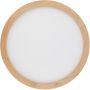 Stropní lampa AQUA WOOD 18011 3000K, 4000K, 6500K 1x36W/LED 4080lm IP54 od TK Lighting