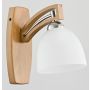 Nástěnná lampa MAGNAT 21380 1x15W/E27 od Alfa