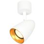 Bodové světlo Tino SPL-36748-1R-WH-GD 1x10W/GU10 IP20 od Italux