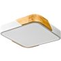 Stropní lampa Santer PLF-13187-WH-WO 3000K 1x24W/LED 2400lm IP20 od Italux