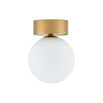 Stropní lampa KIER 10623 1x12W/G9 IP20 od Nowodvorski