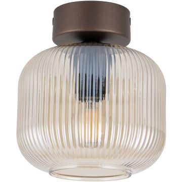 Stropní lampa SALVIA 11358 od TK Lighting