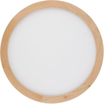 Stropní lampa AQUA WOOD 18011 3000K, 4000K, 6500K 1x36W/LED 4080lm IP54 od TK Lighting