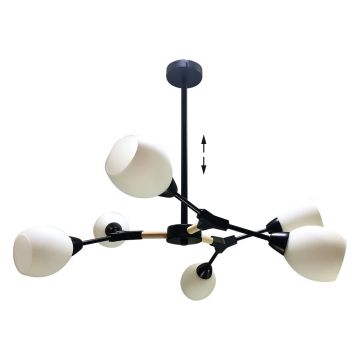 Stropní lampa CITTERIO 18300 6x40W/E14 IP20 od Prezent
