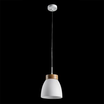 Závěsná lampa FOCUS 18068 1x40W/E27 IP20 od Prezent