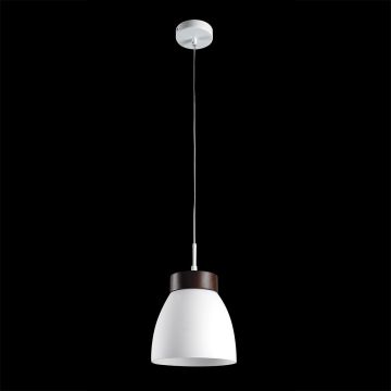 Závěsná lampa FOCUS 18069 1x40W/E27 IP20 od Prezent