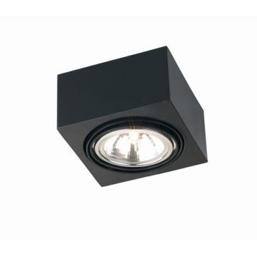 Stropní a nástěnné svítidlo RODOS 346 1x6W/G9 IP20 od Argon