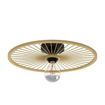 Stropní lampa LEOMINSTER 43883 1x40W/E27 IP20 od Eglo