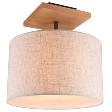 Stropní lampa ELMAU 602100130 1x60w/e27 ip20 od Trio