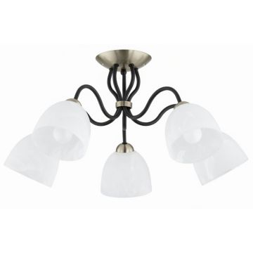 Stropní lampa ARIEL 63428 5x15W/E27 od Alfa
