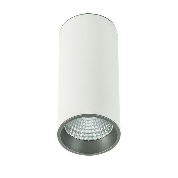Povrchové svítidlo MOLDES SLC7392/12W 4000K WH+GR 1x12W/LED 820LM IP20 od Italux